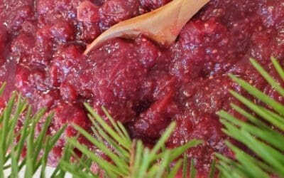 Healthy Cranberry Sauce Recipe